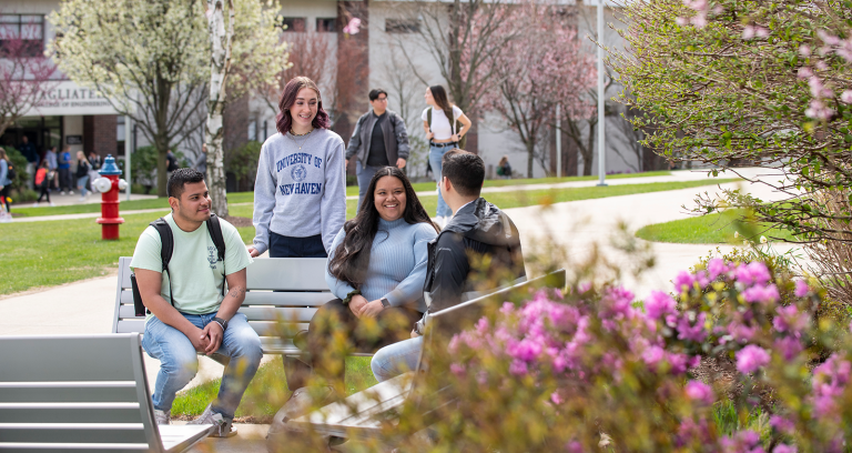 Students gathering in the courtyard.